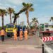 Trasplante de palmeras en la CV-821 a su paso por Mutxamel
