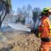 Incendio forestal en el pla de Pavia de Sagunto