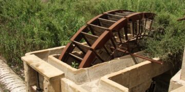 Norias gemelas de Orihuela