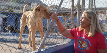 Campaña contra el abandono animal