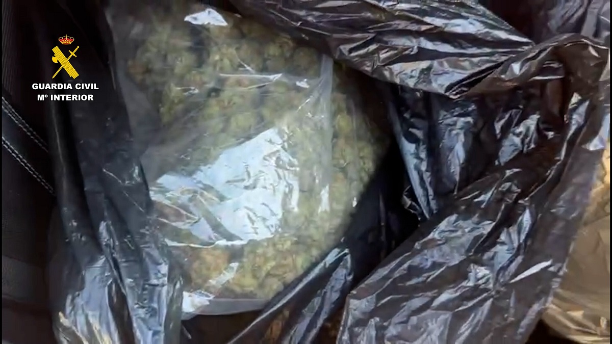 Bolsas con marihuana en el maletero de un coche