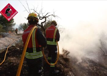 Incendio forestal de Benasau