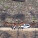 Rescate de un trabajador forestal herido en Montitxelvo