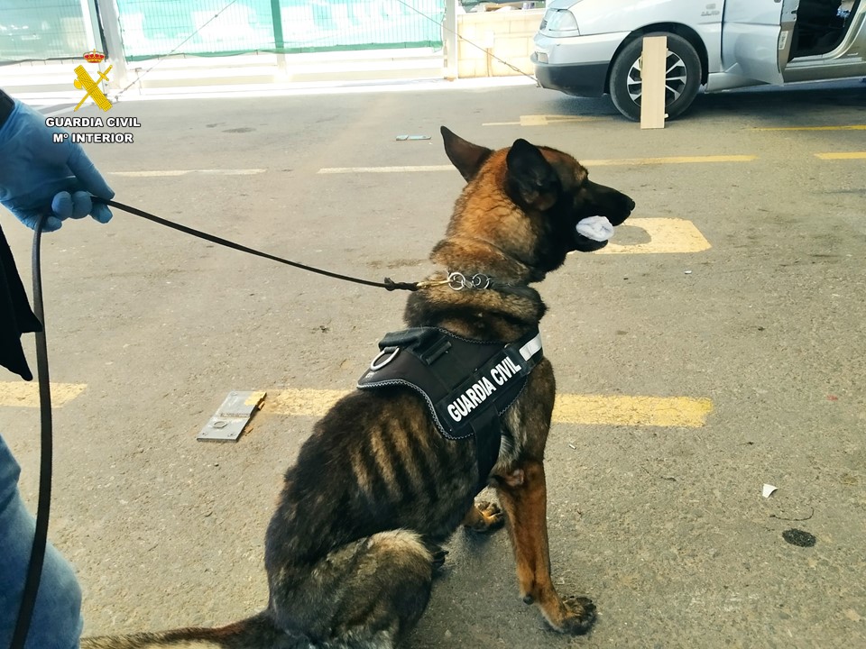 El perro de la Guardia Civil detectó el tabaco de contrabando