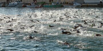 Travessia al Port de Gandia