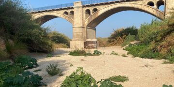 troballa de cloïssa asiàtica en el Canyoles