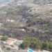 Incendio forestal de Benasau, el jueves 1 de agosto