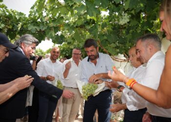 Carlos Mazón hizo el anuncio en Monforte del Cid