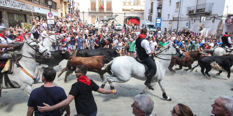 entrada de toros y caballos segorbe