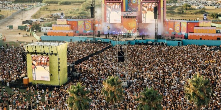 festival Zebra Cullera