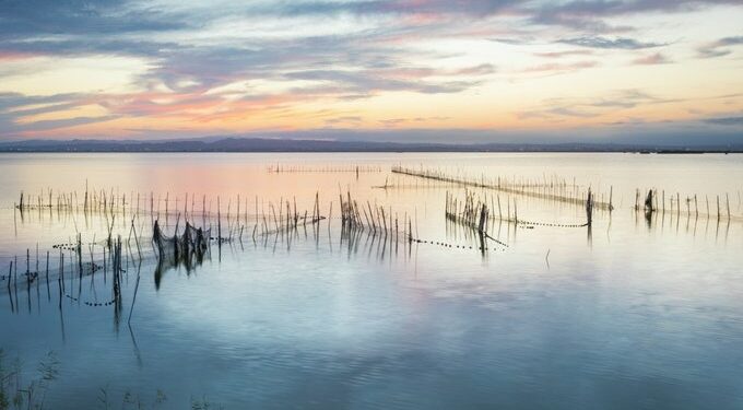 Valencia remite al Gobierno la candidatura de l'Albufera como Reserva de la Biosfera
