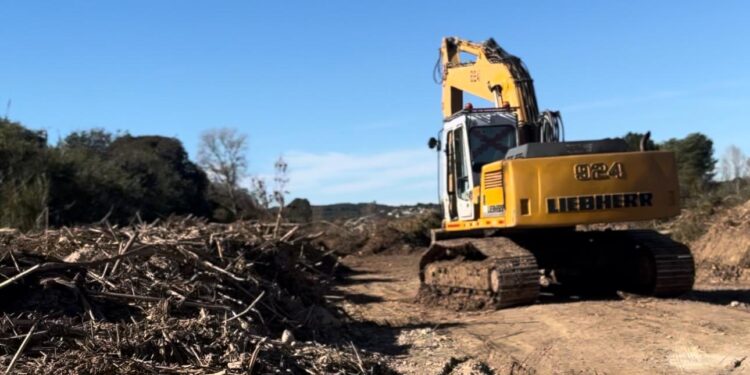 limpieza Parque Natural del Turia