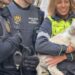 Agentes de la Comisaría de Proximidad de Ciutat Vella de la Policía Local de València han recuperado un coche robado en el que ha estado encerrado un perro durante casi tres días. EFE/Policía Local València