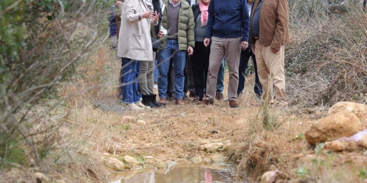 12/02/2025 El 'president' de la Generalitat, Carlos Mazón, visita en Les Coves de Vinromà (Castellón) algunas zonas de caminos rurales dañados por la dana.
POLITICA 
GVA