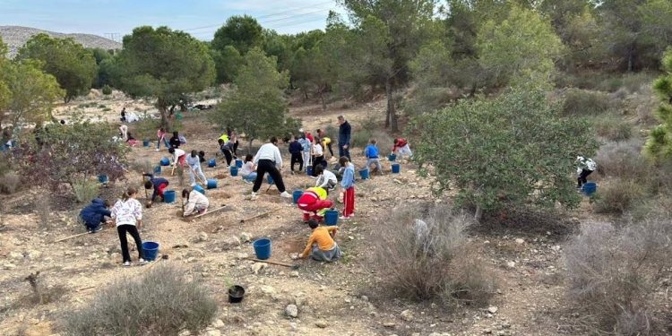 21/03/2025 Alumnado de colegios de Alicante participa en actividades de reforestación por el Día Mundial del Árbol..

La Concejalía de Medio Ambiente del Ayuntamiento de Alicante celebra el Día Mundial del Árbol con un programa de educación ambiental dirigido a la reforestación, con la plantación de más de un millar de árboles y arbustos, en distintas actividades en las que participa alumnado de una decena de centros educativos y entidades de la ciudad durante este primer trimestre del año.

POLITICA 
AYUNTAMIENTO DE ALICANTE