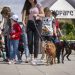 Momentos durante el desfile solidario de perros AUPA - Fundación BIOPARC - Plaza exterior de BIOPARC Valencia