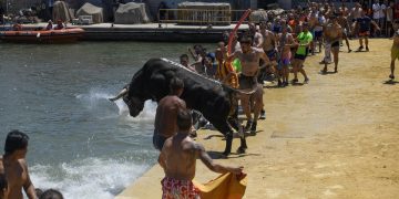 15/07/2022 'Bous a la mar' de Dénia
POLITICA COMUNIDAD VALENCIANA ESPAÑA EUROPA ALICANTE SOCIEDAD
ANIMANATURALIS Y CAS INTERNATIONAL