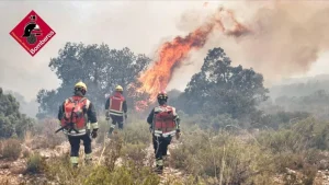 Incendio forestal Ibi.