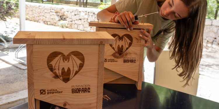 Taller caja murciélago - Fundacion BIOPARC