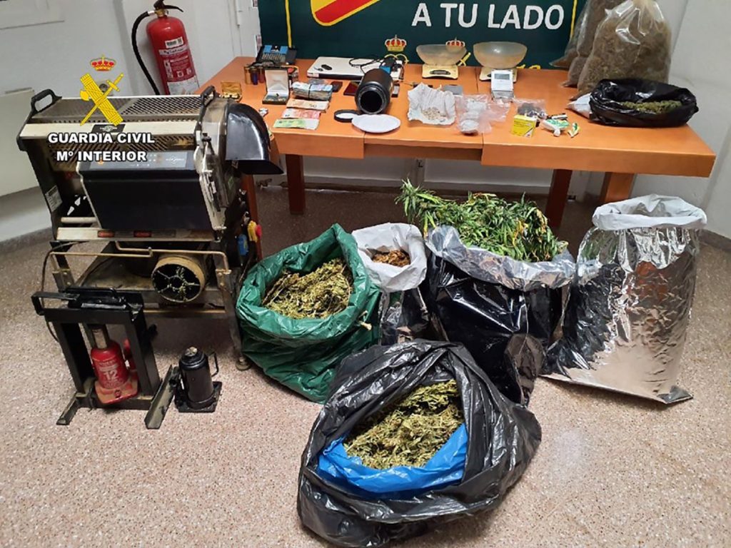 plantación de marihuana en Los Montesinos