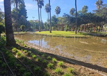 Agenda 2030 en Llíria: Parque Silvestre de Edeta