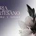 feria del dulce artesano de casinos