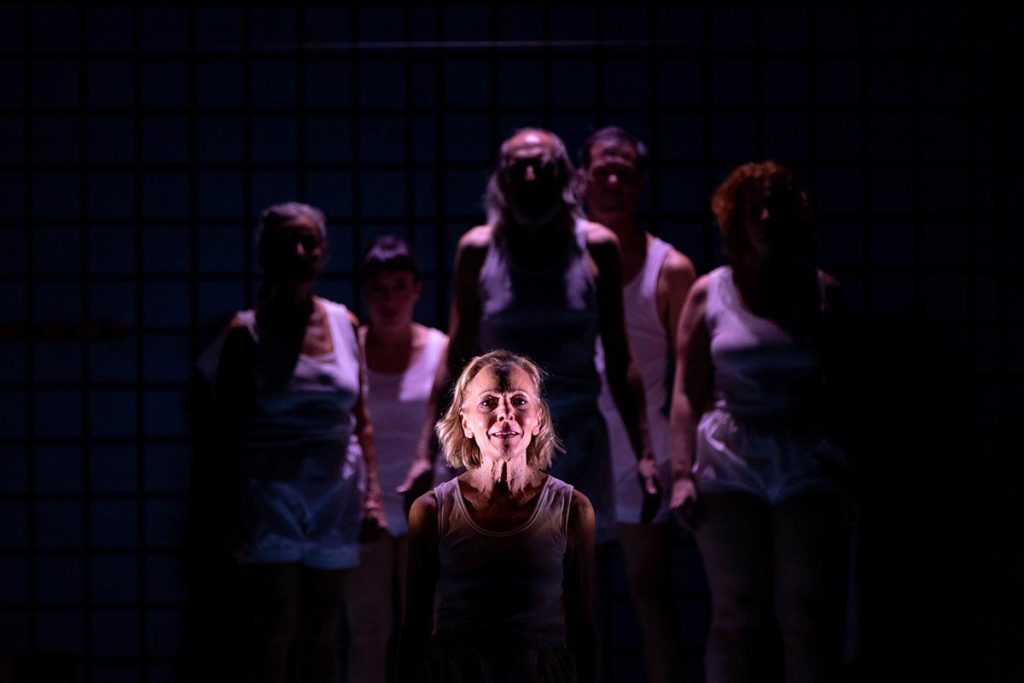 Los días lentos del IVC