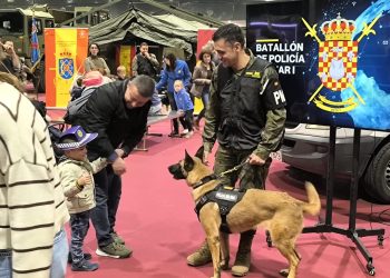 Las Fuerzas Armadas en Expojove