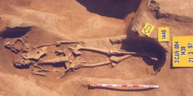 Entierro de la calle Cañete/Quart de València. Foto: Servicio de Arqueología Municipal (SIAM) del Ayuntamiento de València. Fundadores de Valencia