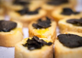 Jornades de la trufa Morella-Els Ports