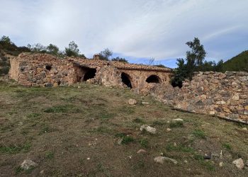 Corral del Alto, laboratorio rural de Almonacid