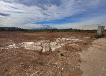 Ayudas del Consell con el objetivo de sufragar los costes de replantación de cultivos en aquellas parcelas afectadas por la dana.