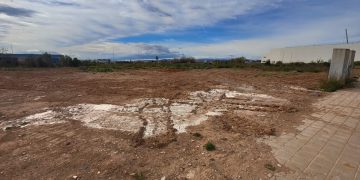 Ayudas del Consell con el objetivo de sufragar los costes de replantación de cultivos en aquellas parcelas afectadas por la dana.