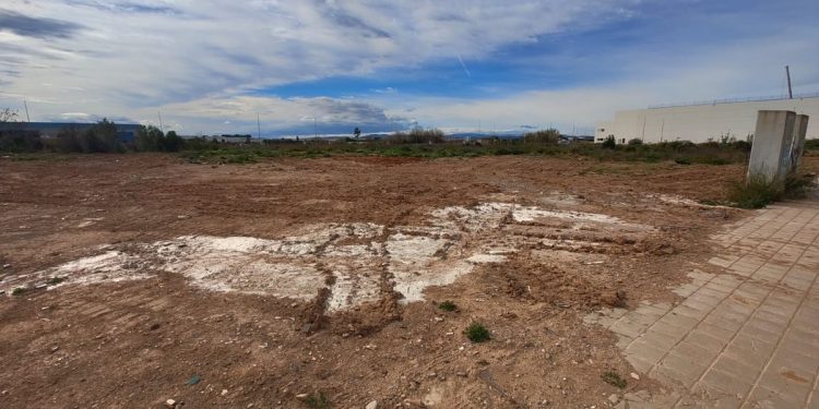 Ayudas del Consell con el objetivo de sufragar los costes de replantación de cultivos en aquellas parcelas afectadas por la dana.