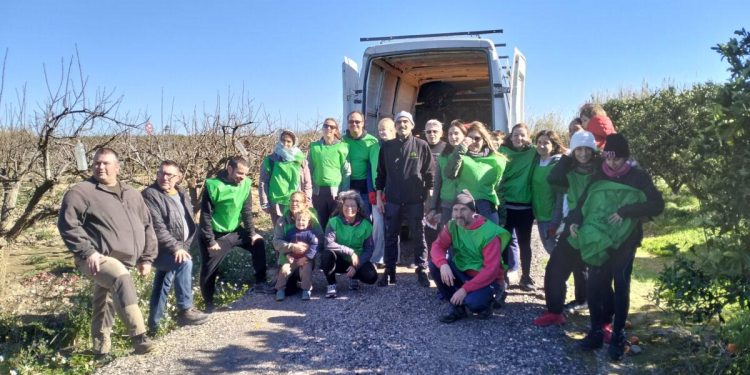 espigolada de Guadassuar