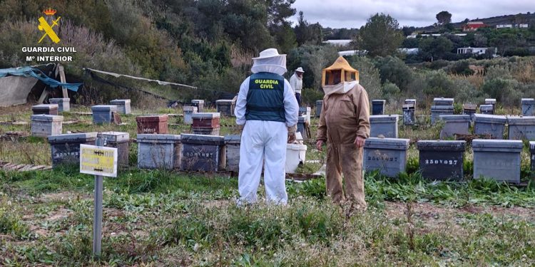 hurto de colmenas en La Canal de Navarrés