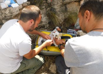 Centro de Recuiperacion de fauna salvaje de El Saler