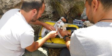 Centro de Recuiperacion de fauna salvaje de El Saler