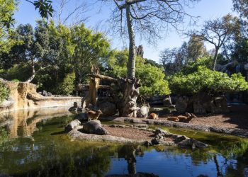 Bioparc y el Día Internacional de la Tierra