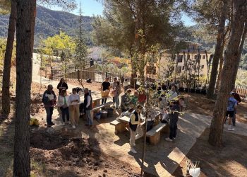 Un niño, un árbol en Vall de Almonacid