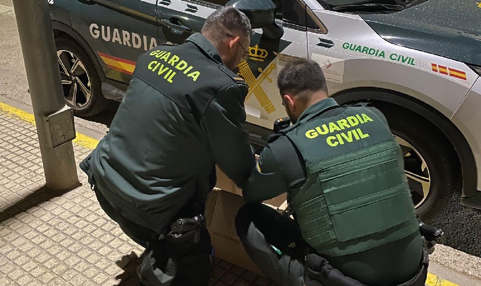 Los agentes han interceptado los gallos maltratados.