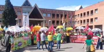 Vaga del professorat de la Safor-Valldigna