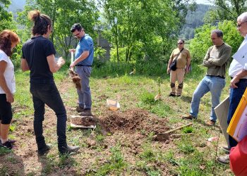 Agricultura regenerativa en Vall de Almonacid