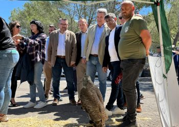 Nueva normativa para el control del conejo de monte