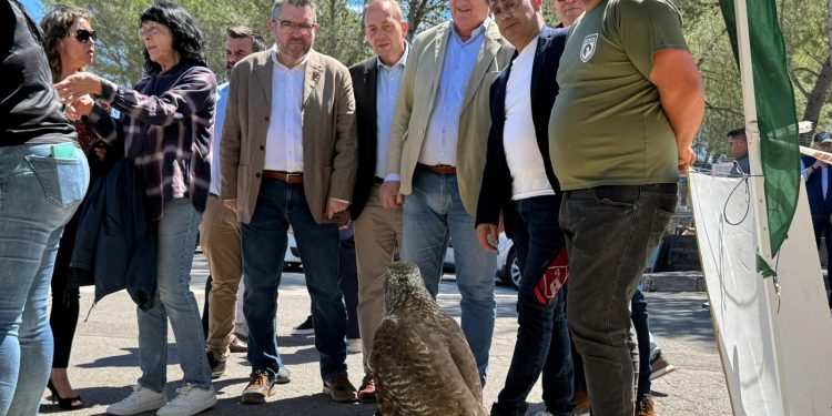 Nueva normativa para el control del conejo de monte