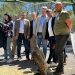 Nueva normativa para el control del conejo de monte