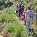Semana de la Biodiversidad de la Comunitat Valenciana